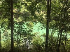 -广州市流溪河国家森林公园