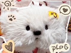 -Yee3·三号椰(上海中山公园龙之梦店)