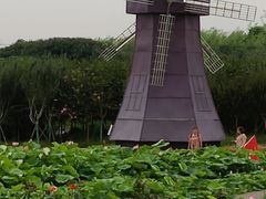 -武汉紫薇都市田园