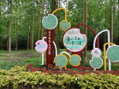 -东平国家森林公园