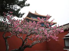 -故宫博物院(故宫)