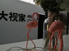 -大视家眼镜(园区星海店)