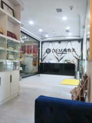 -DEM缔怡美科技美容