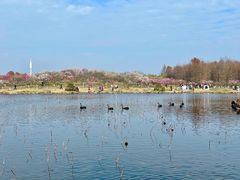 -上海海湾国家森林公园