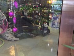 -花语咖啡