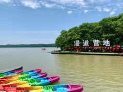 -上海海湾国家森林公园