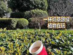 -新澳港式茶餐厅(余姚路店)