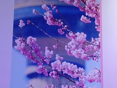 -中央电视塔旋转餐厅