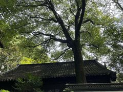 -汇龙潭