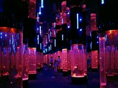 -成都浩海立方海洋公园