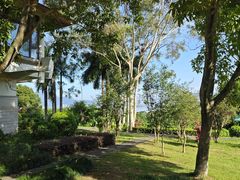 -福建鲤鱼洲酒店