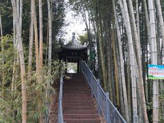 -蜀南竹海景区