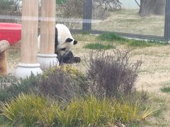 -无锡动物园·太湖欢乐园