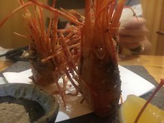 -鲔屋寿喜烧