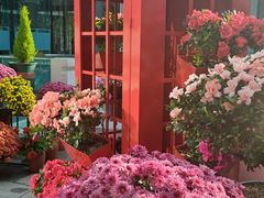 -云溪植物园