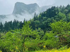 -鹿院坪生态旅游景区