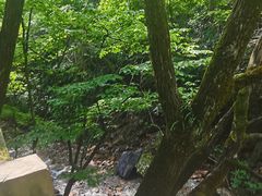 -本溪汤沟绿石谷森林公园