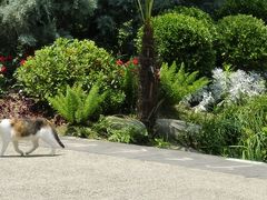 -苏州河梦清园环保主题公园