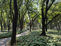 -玲珑塔公园