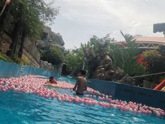 -郑州方特水上乐园