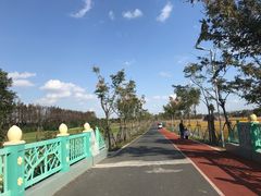 -上海长兴岛郊野公园