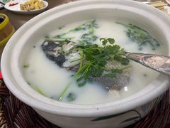 天目湖砂锅鱼头-紫藤园·天目湖大鱼头(南山竹海店)
