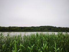 -昆山城市生态森林公园