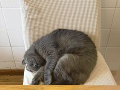 -春笙食堂.丼饭拉面寿司(GOGO新天地店)