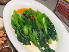 白灼菜心-阿诚市井潮汕菜(金台路店)