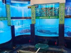 -千岛湖小鱼儿·淳安匠心农家菜