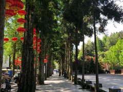 -井冈山风景名胜区