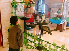 -廊坊固安福朋喜来登酒店