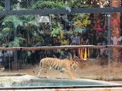 -清迈夜间动物园