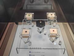 -安徽省地质博物馆