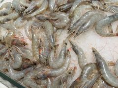 -星伦多自助料理·涮烤一体(嘉兴八佰伴店)