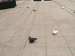 -陕西自然博物馆