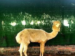 -田园寨农园观光园