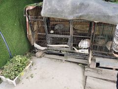 -小鱼草莓采摘园农家乐·小鱼餐厅