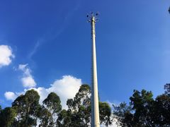 -广州市流溪河国家森林公园