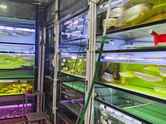 -华声天桥民俗文化园