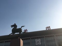 -清真老马家国华牛奶鸡蛋醪糟(正宁路店)