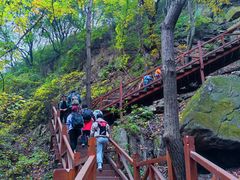 -大岭沟猕猴桃谷风景区