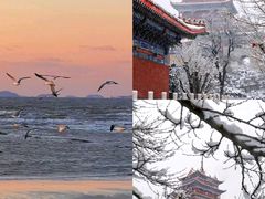 -南山公园