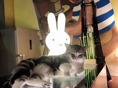 -咖法森林·咖啡  酒吧(天河店)