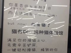 -猫冇咖·家门口的撸猫馆(大融城店)