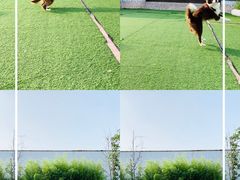 -汪说喵讲宠物乐园宠物酒店(红星美凯龙店)