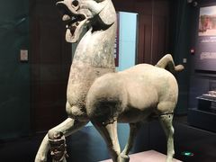 -广西壮族自治区博物馆