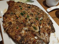 -小杨烤肉·陕西烧烤·陕西地方菜(龙首店)
