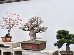 -马相伯故居