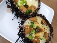 -海胆小馆(东北水饺·春柳店)